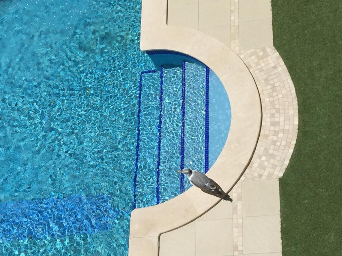 3 Min Walking To Peneco Beach Albufeira At Sol A Sul Apartments מראה חיצוני תמונה